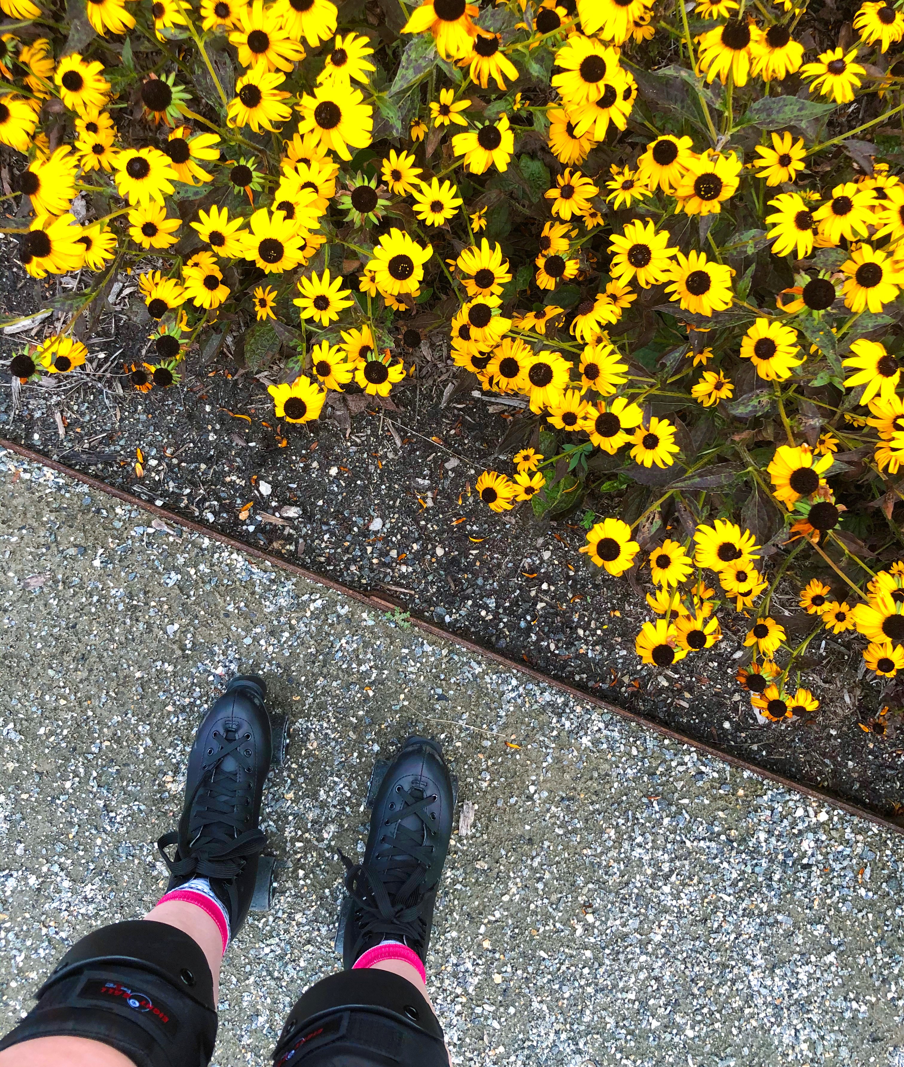 A picture I took of my skates next to yellow flowers